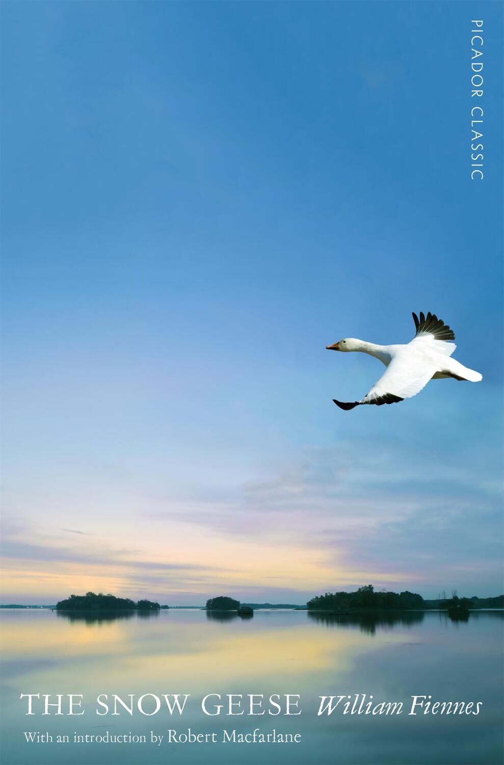 Cover: 9781447275442 | The Snow Geese | William Fiennes | Taschenbuch | 251 S. | Englisch