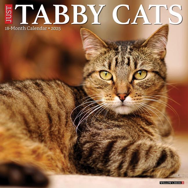 Cover: 9781549245060 | Just Tabby Cats 2025 12 X 12 Wall Calendar | Willow Creek Press | 2025