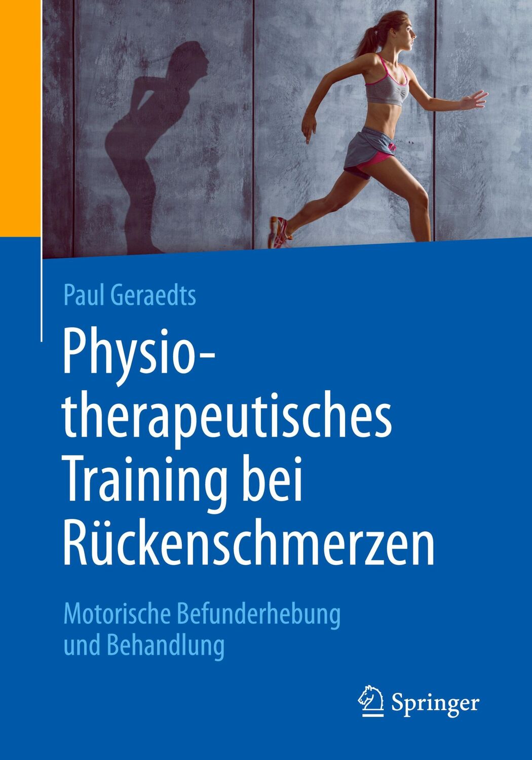 Cover: 9783662560853 | Physiotherapeutisches Training bei Rückenschmerzen | Paul Geraedts | x