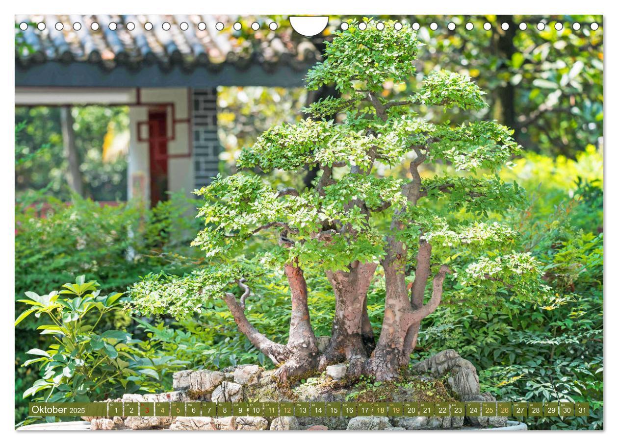 Bild: 9783457198117 | Gartenkunst aus Japan: Bonsai (Wandkalender 2025 DIN A4 quer),...