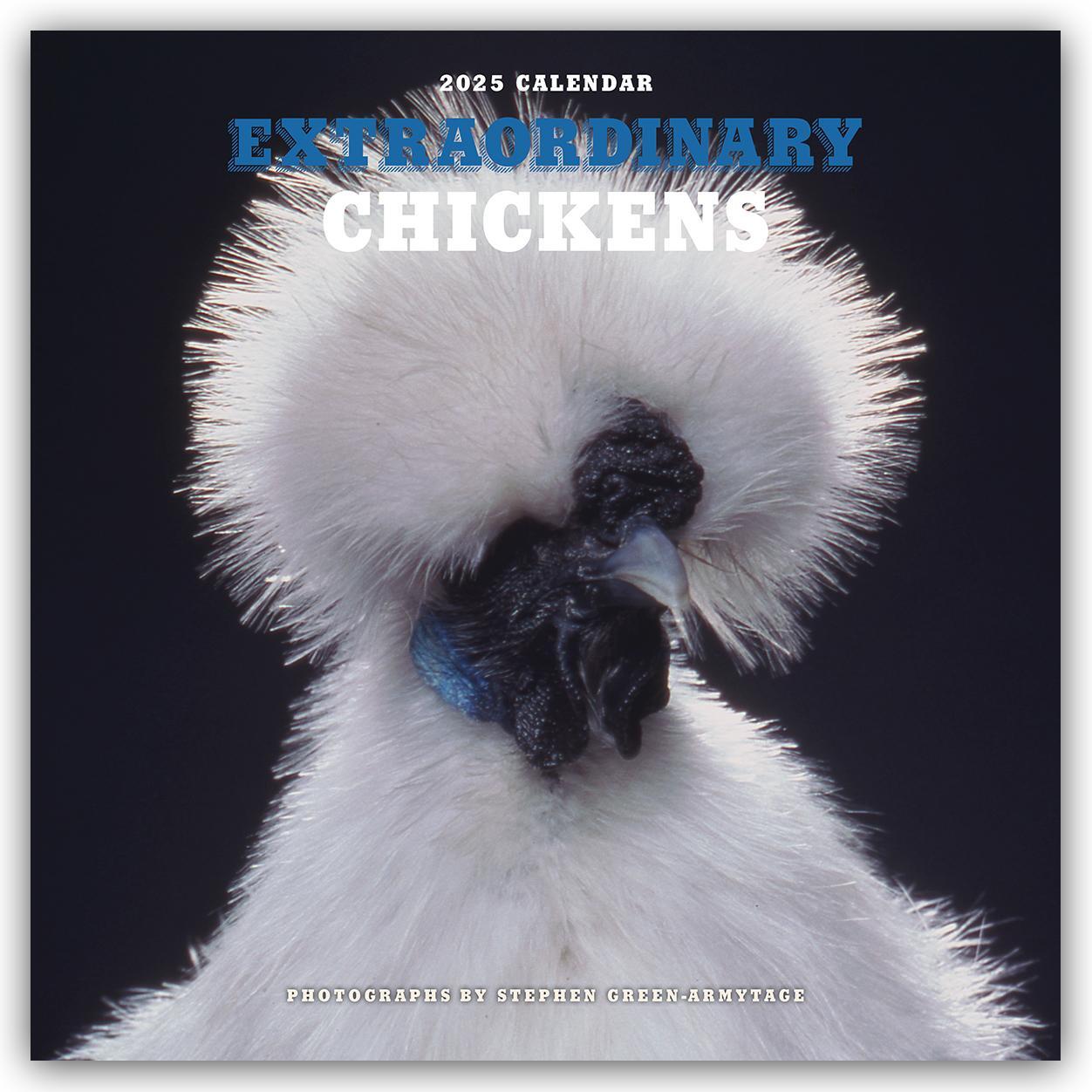 Cover: 9783803530240 | Extraordinary Chickens - Außergewöhnliche Hühner 2025 -...