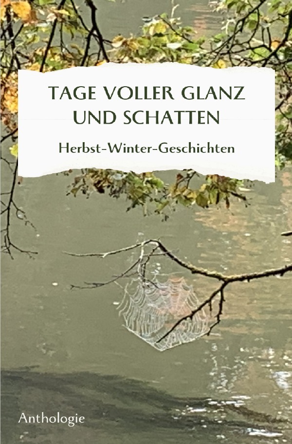 Cover: 9783818767938 | TAGE VOLLER GLANZ UND SCHATTEN | Herbst-Winter-Geschichten. DE | Buch