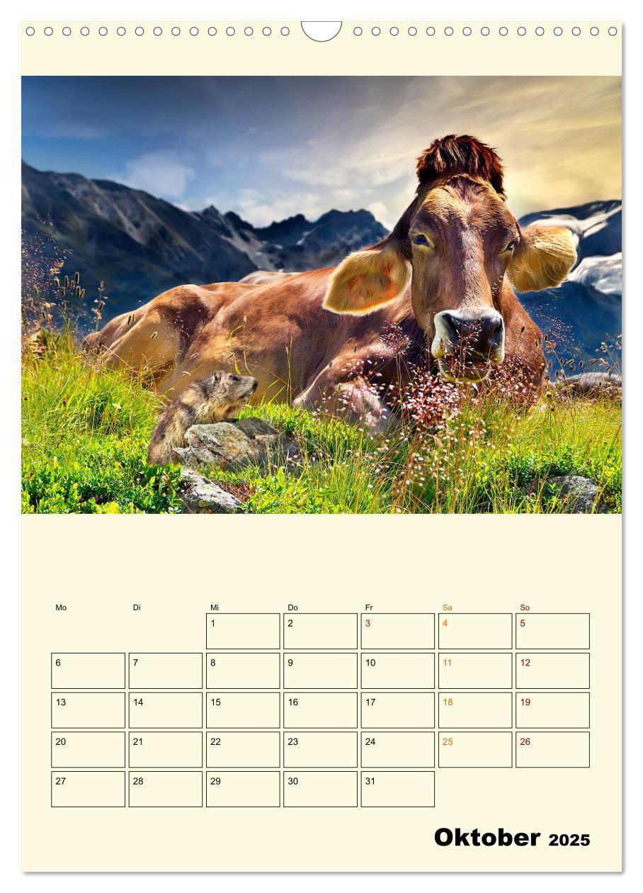 Bild: 9783435903993 | Glückliche Bergkühe (Wandkalender 2025 DIN A3 hoch), CALVENDO...