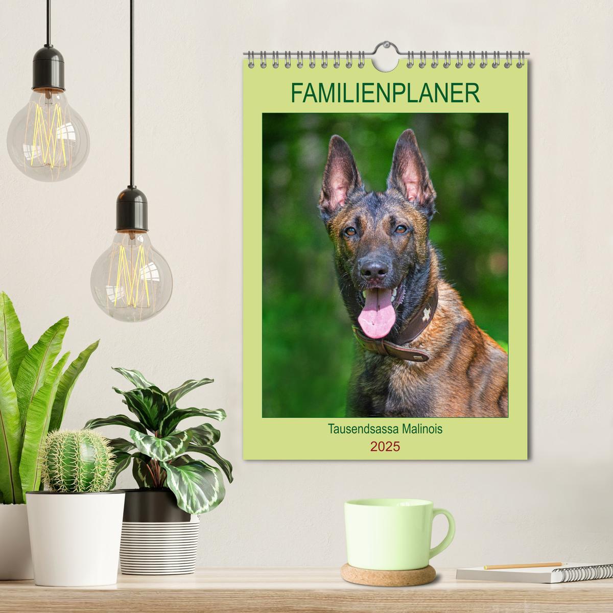 Bild: 9783435959143 | Familienplaner Tausendsassa Malinois (Wandkalender 2025 DIN A4...