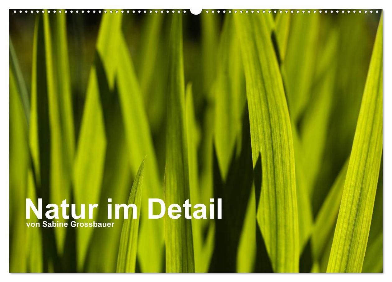 Cover: 9783435802128 | Natur im Detail (Wandkalender 2025 DIN A2 quer), CALVENDO...