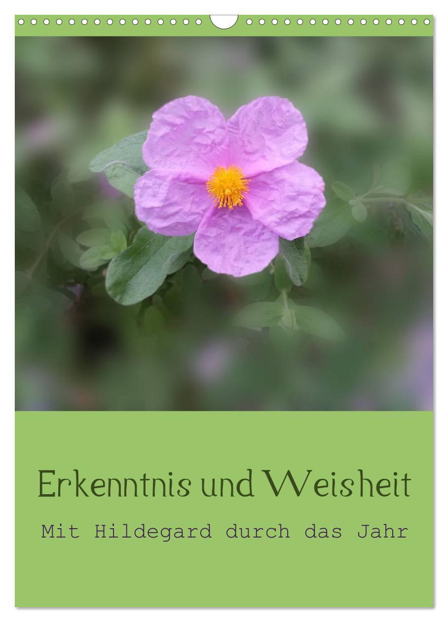 Cover: 9783457059746 | Erkenntnis und Weisheit - Hildegard von Bingen (Wandkalender 2025...