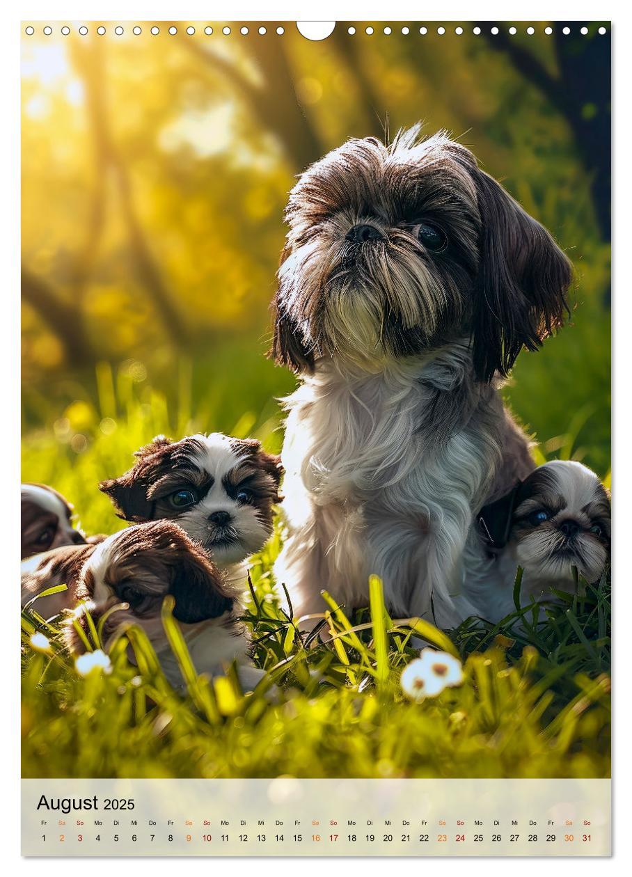 Bild: 9783383765384 | Shih Tzu - immer im Mittelpunkt (Wandkalender 2025 DIN A3 hoch),...