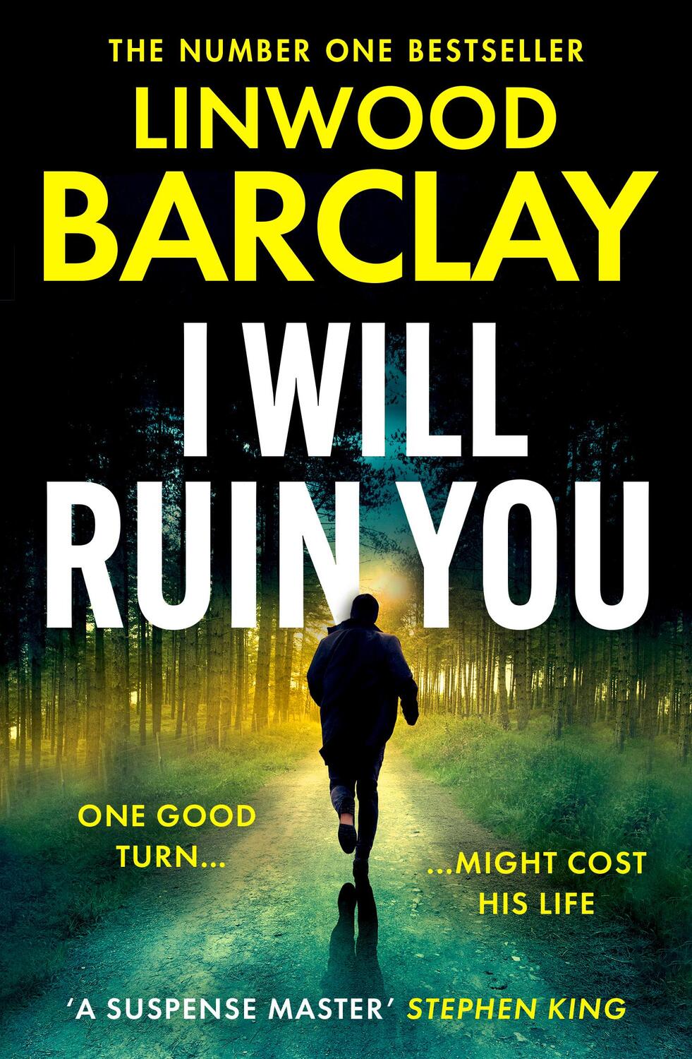 Cover: 9780008555733 | I Will Ruin You | Linwood Barclay | Taschenbuch | Englisch | 2024