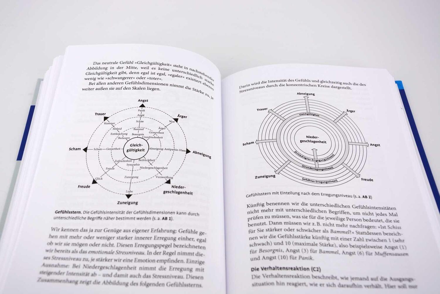 Bild: 9783621289030 | Unerschrocken weiterleben | Harlich H. Stavemann | Buch | 187 S.