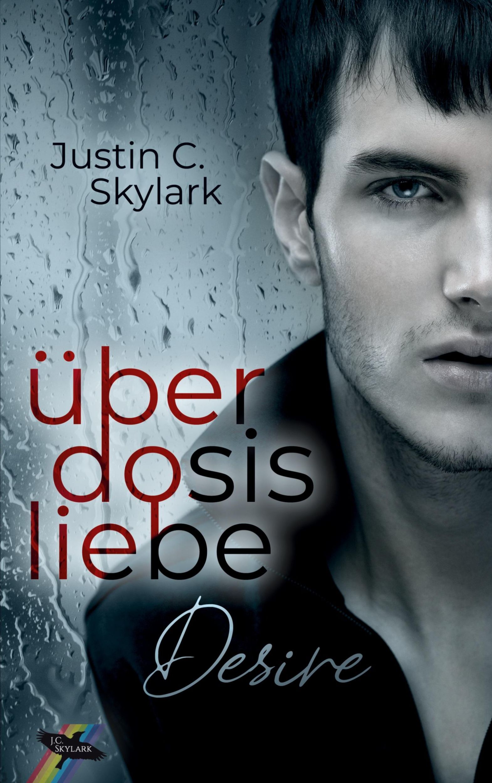 Cover: 9783754348666 | Überdosis Liebe | Desire | Justin C. Skylark | Taschenbuch | Paperback