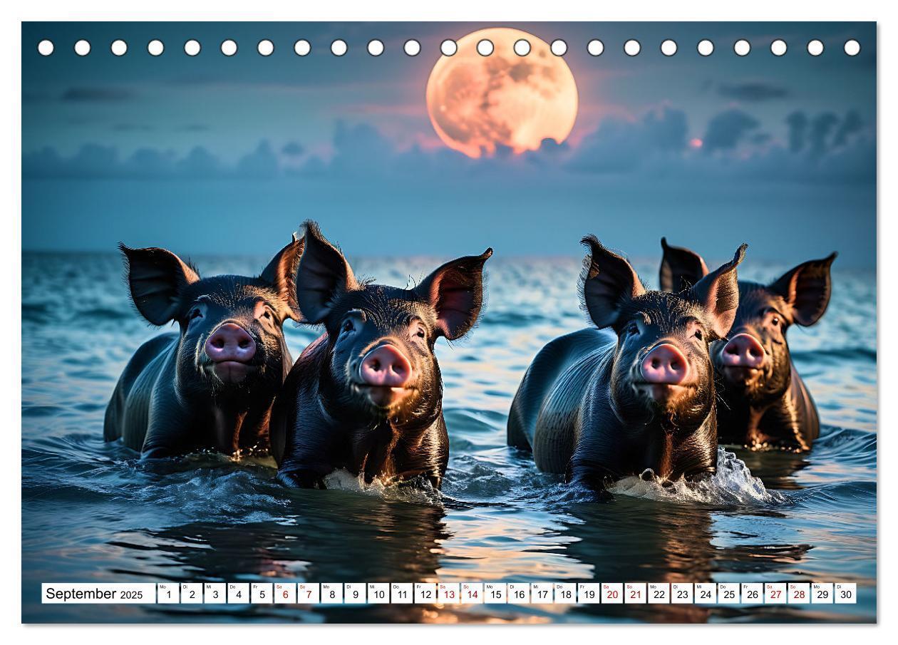 Bild: 9783383835292 | Schwimmende Schweine im Paradies (Tischkalender 2025 DIN A5 quer),...