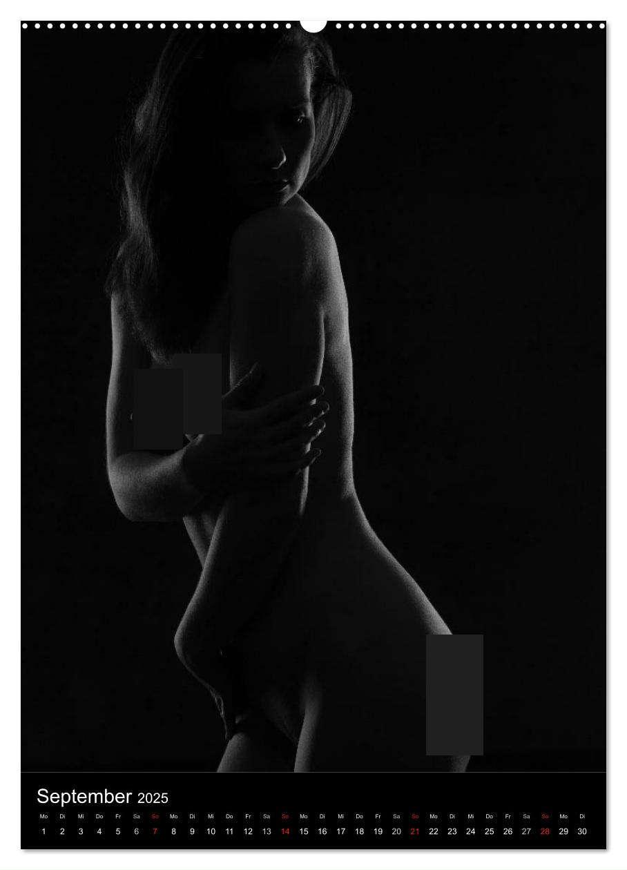 Bild: 9783457087213 | Erotische Silhouetten (Wandkalender 2025 DIN A2 hoch), CALVENDO...