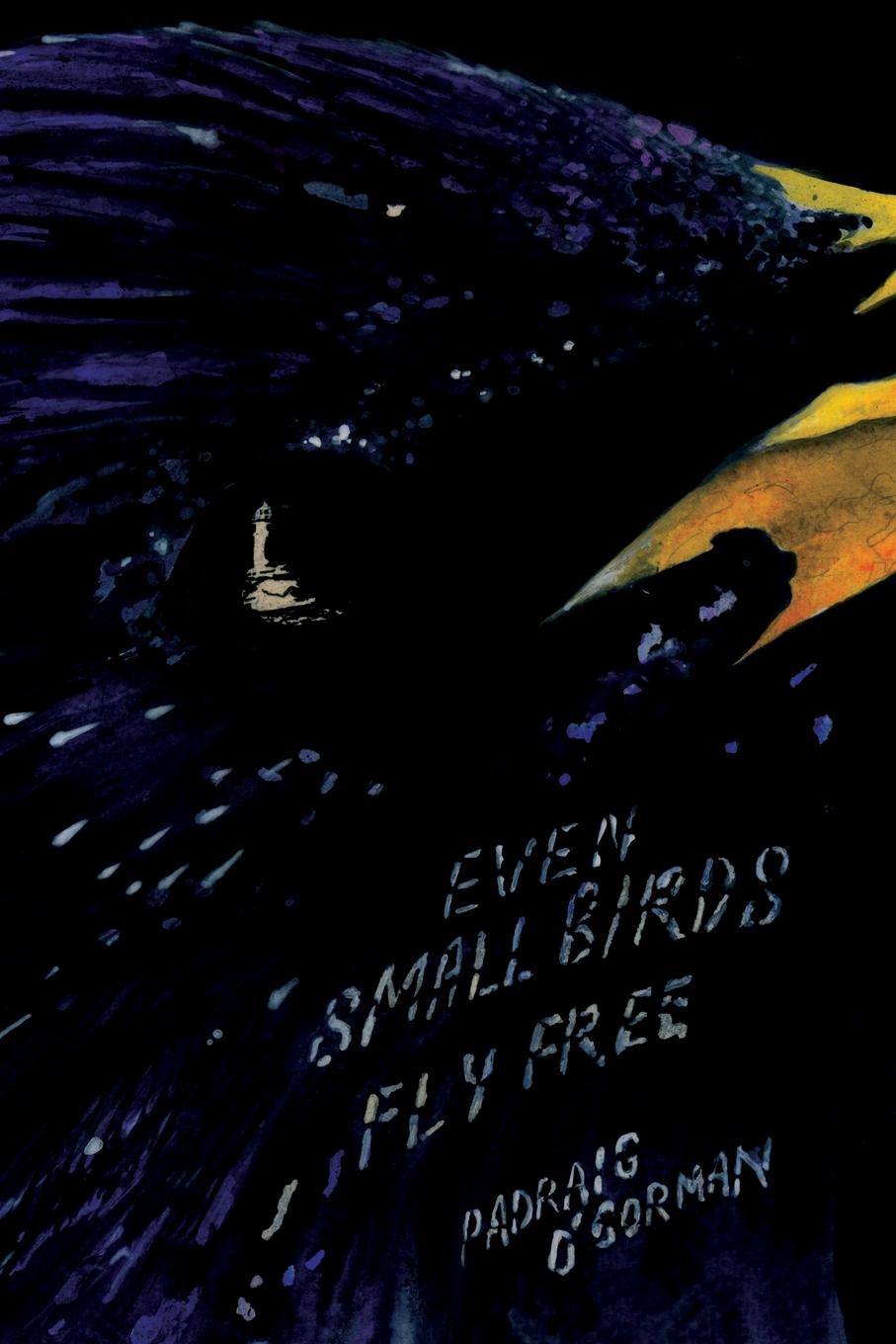 Cover: 9780995784307 | even small birds fly free | Pádraig O'Gorman | Taschenbuch | Englisch