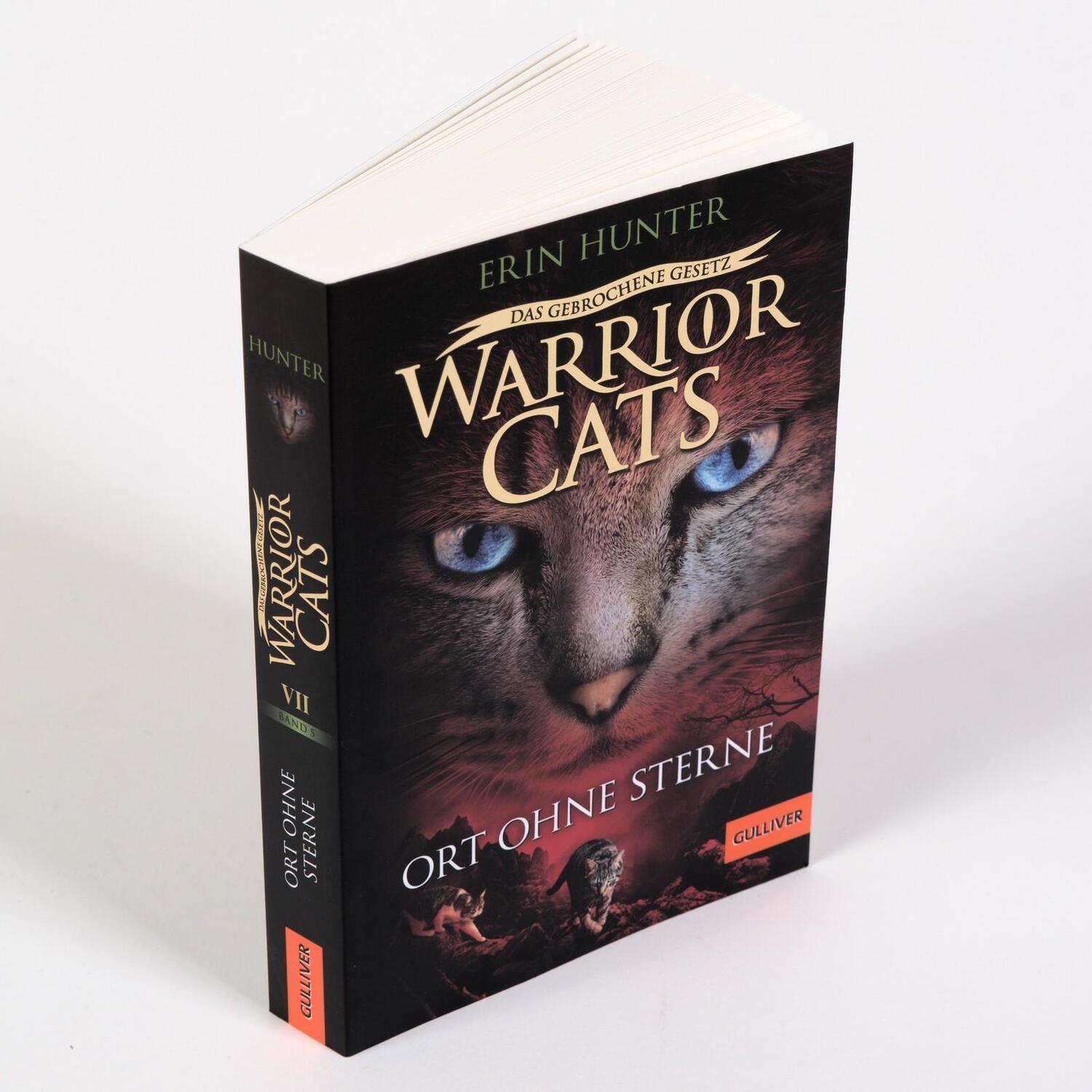 Bild: 9783407813190 | Warrior Cats - Das gebrochene Gesetz. Ort ohne Sterne | Erin Hunter