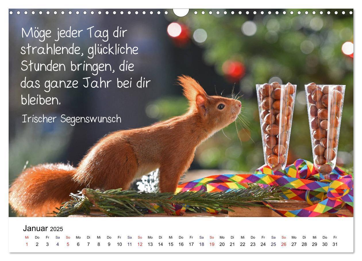 Bild: 9783435433926 | Der literarische Eichhörnchen-Kalender (Wandkalender 2025 DIN A3...