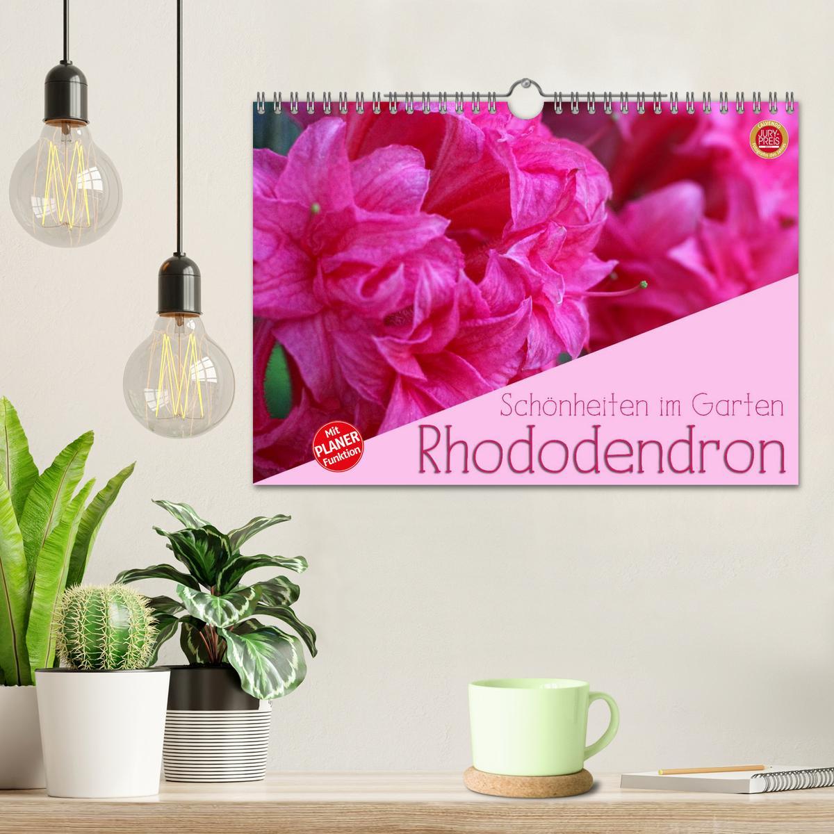 Bild: 9783435492091 | Rhododendron Schönheiten im Garten (Wandkalender 2025 DIN A4 quer),...