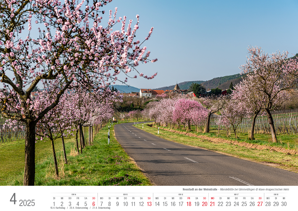 Bild: 9783965352339 | Neustadt a. d. Weinstraße 2025 Bildkalender A3 Spiralbindung | Klaes