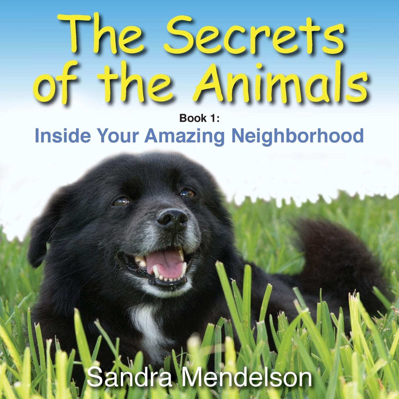 Cover: 9780999270424 | The Secrets of the Animals | Inside Your Amazing Neighborhood | Buch