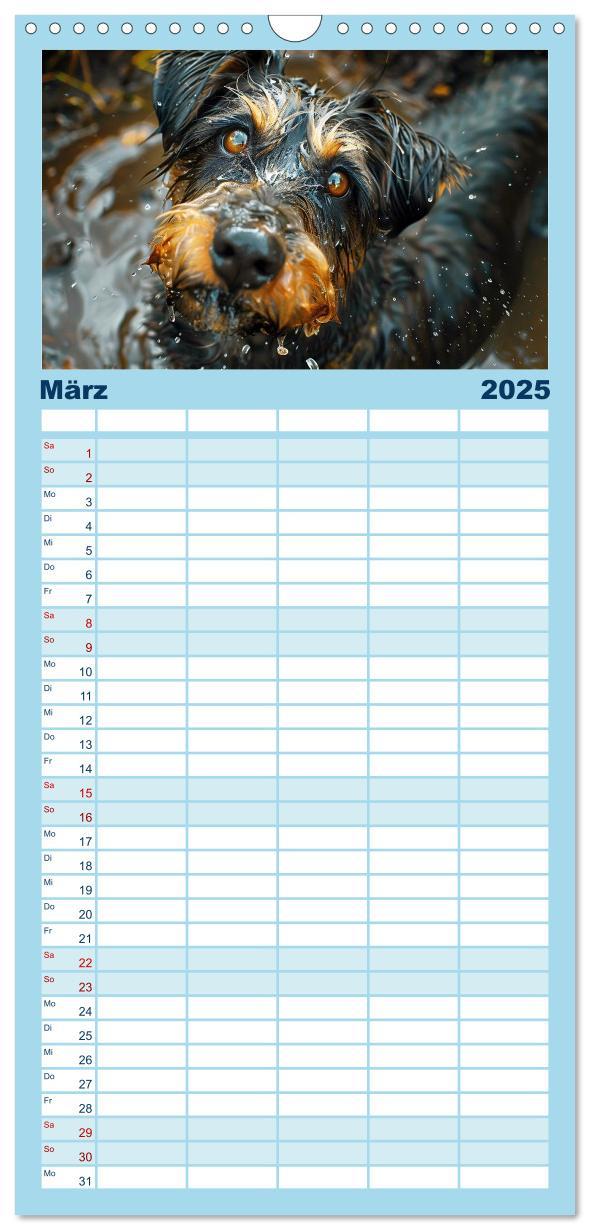 Bild: 9783457195499 | Familienplaner 2025 - Hunde und Wasser mit 5 Spalten (Wandkalender,...