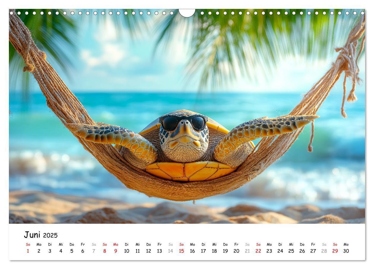 Bild: 9783457215814 | CHILL MAL - Entspannte Schildkröten beim Faulenzen (Wandkalender...