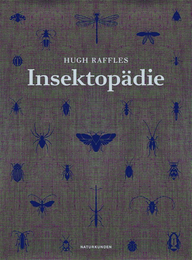 Cover: 9783882210804 | Insektopädie | Hugh Raffles | Buch | Naturkunden | 384 S. | Deutsch