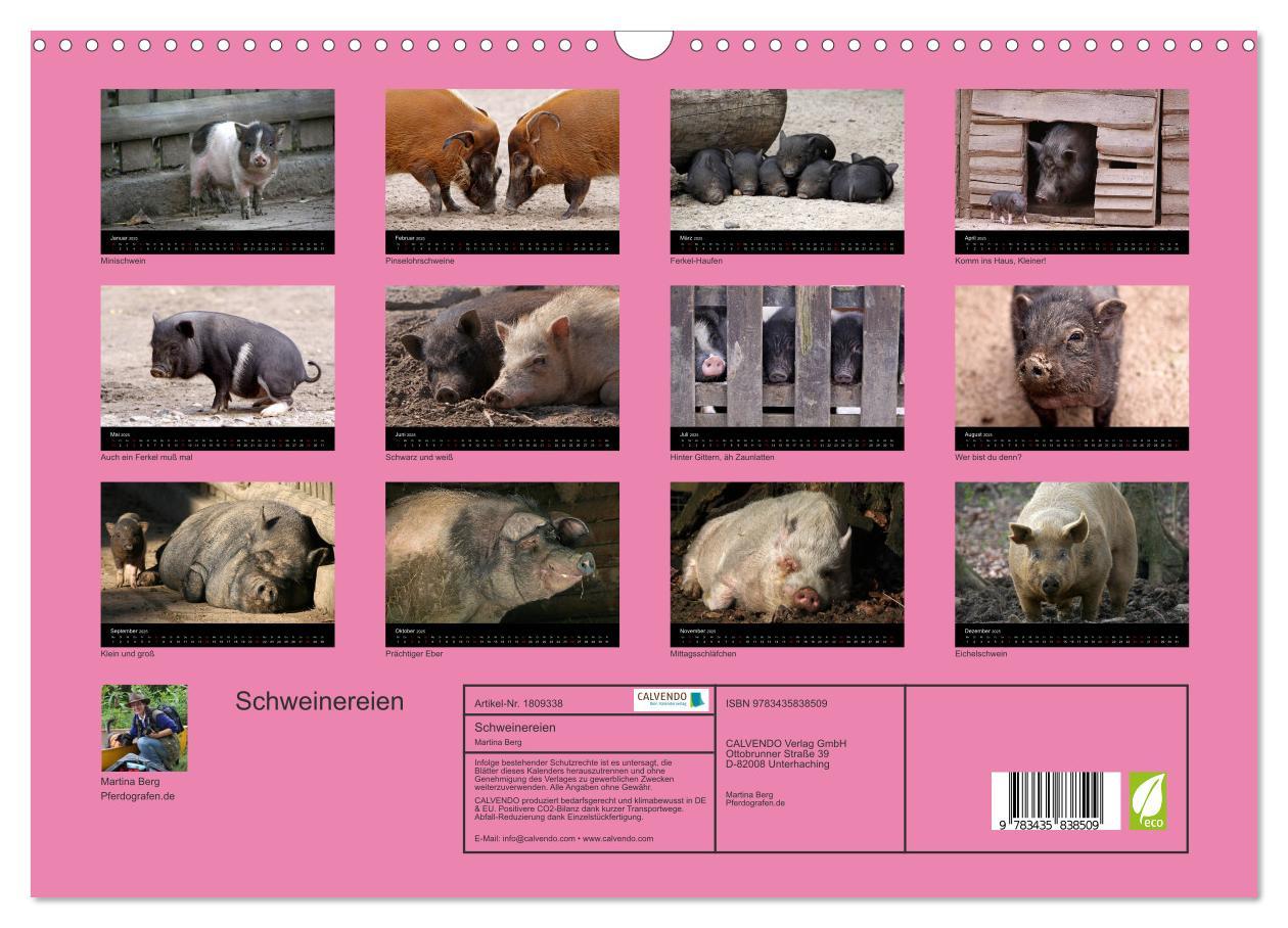 Bild: 9783435838509 | Schweinereien (Wandkalender 2025 DIN A3 quer), CALVENDO Monatskalender