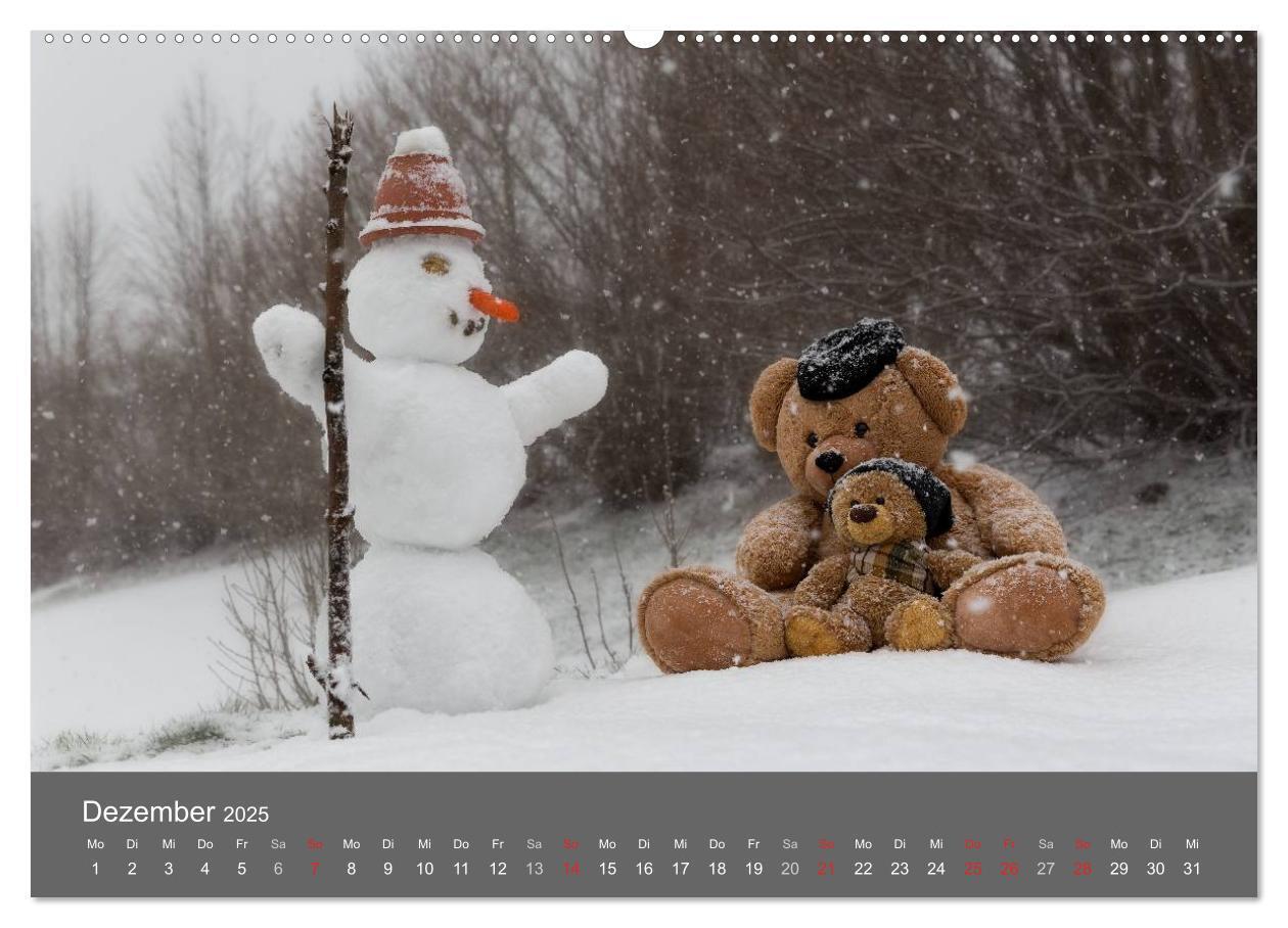 Bild: 9783435490356 | Travelling Teddy 2025 (hochwertiger Premium Wandkalender 2025 DIN...