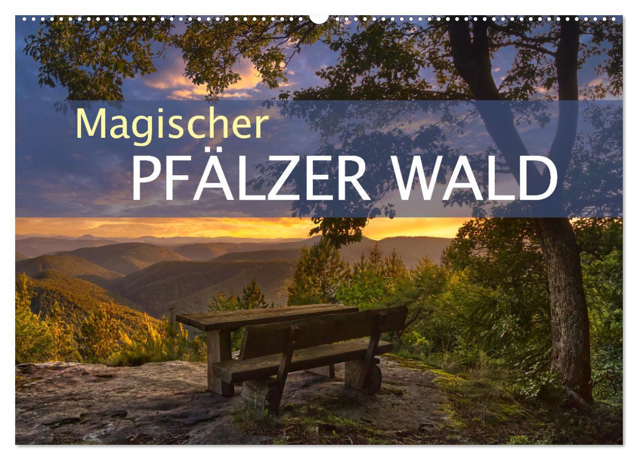 Cover: 9783383939112 | Magischer Pfälzer Wald (Wandkalender 2025 DIN A2 quer), CALVENDO...