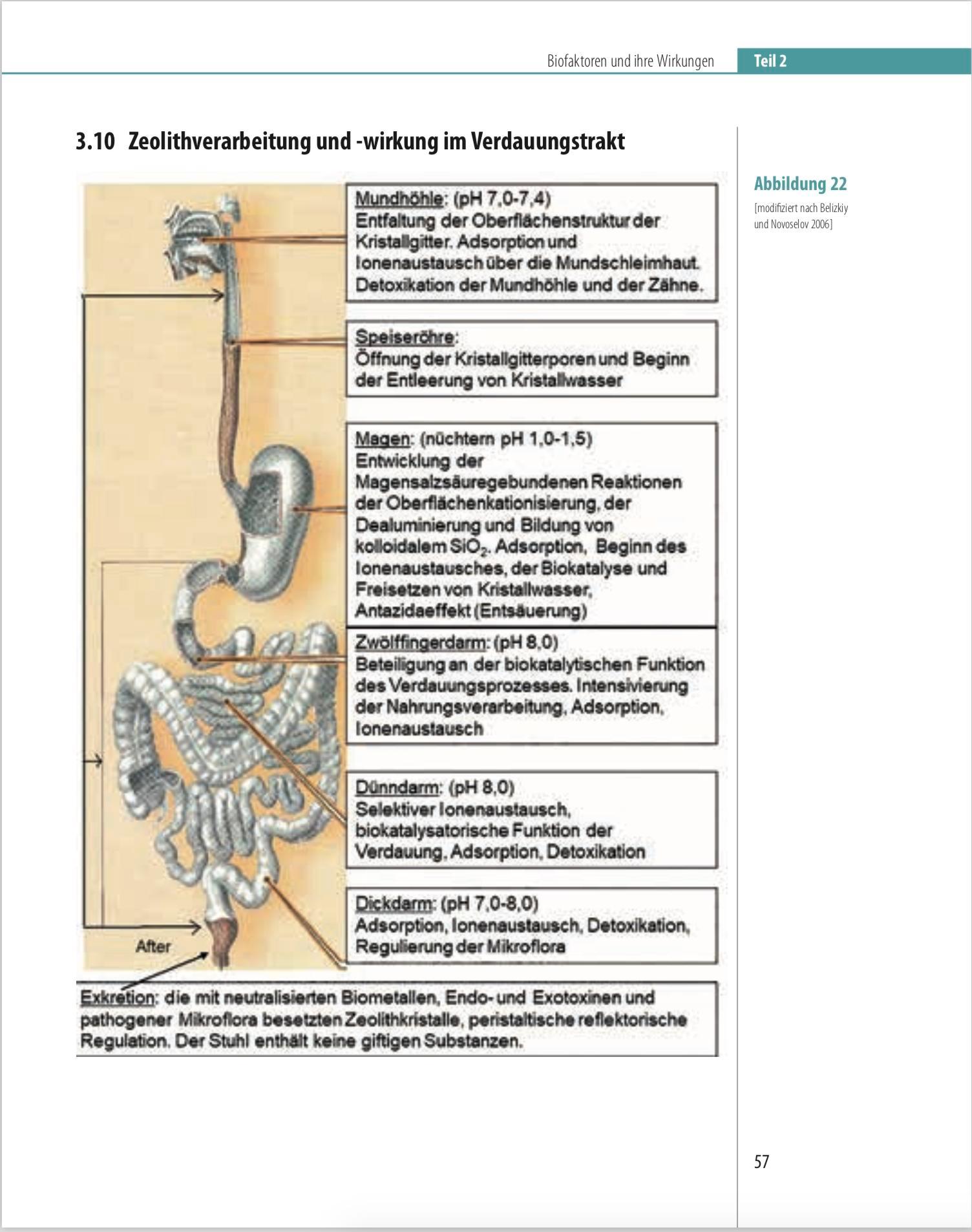 Bild: 9783887780678 | Biofaktoren für gesundes Altern | Karl Hecht | Taschenbuch | 164 S.