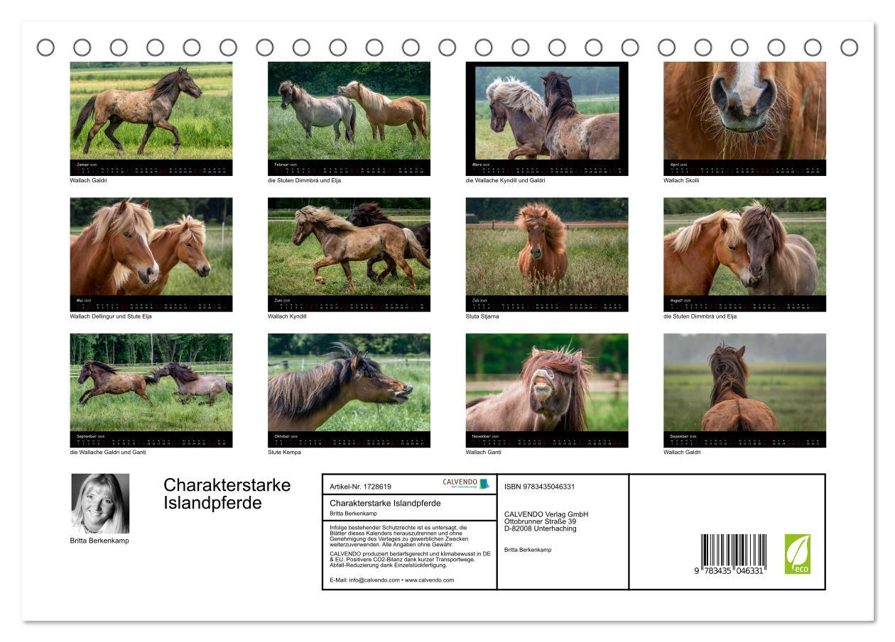 Bild: 9783435046331 | Charakterstarke Islandpferde (Tischkalender 2025 DIN A5 quer),...