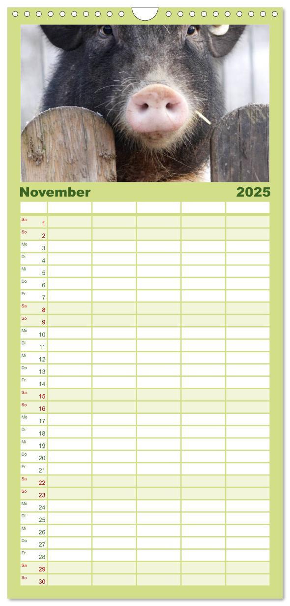 Bild: 9783457124741 | Familienplaner 2025 - Schwein gehabt! mit 5 Spalten (Wandkalender,...