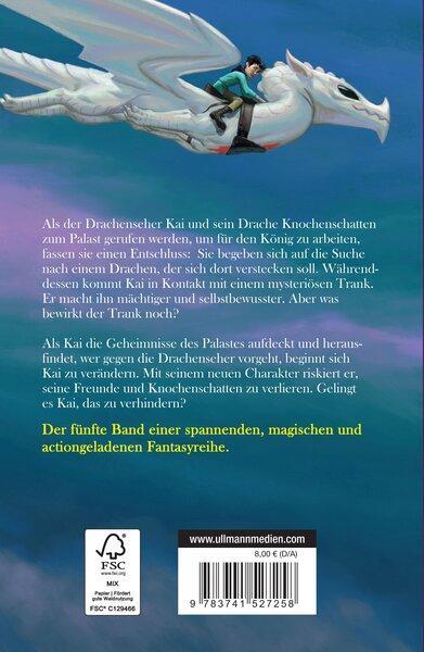 Rückseite: 9783741527258 | Drachensturm - Kai und Knochenschatten | Alastair Chisholm | Buch