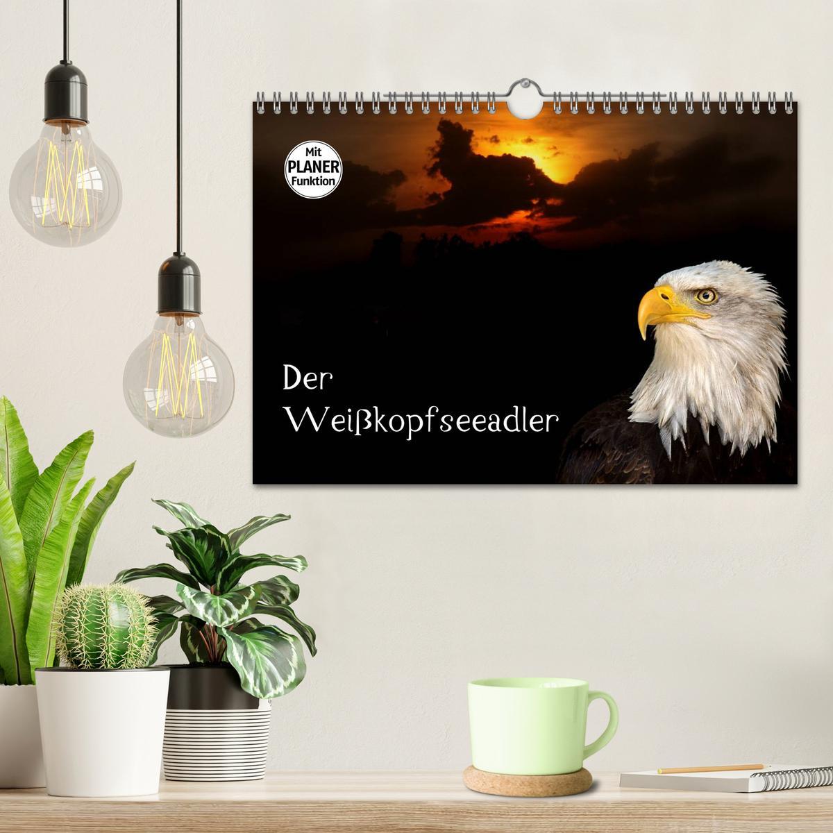 Bild: 9783435533145 | Der Weißkopfseeadler (Wandkalender 2025 DIN A4 quer), CALVENDO...