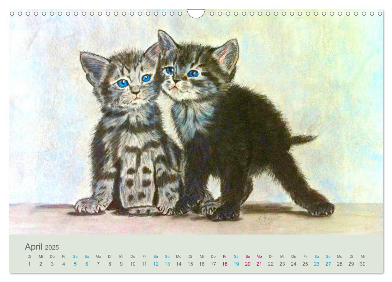 Bild: 9783435097487 | KATZEN PortraiTierART (Wandkalender 2025 DIN A3 quer), CALVENDO...