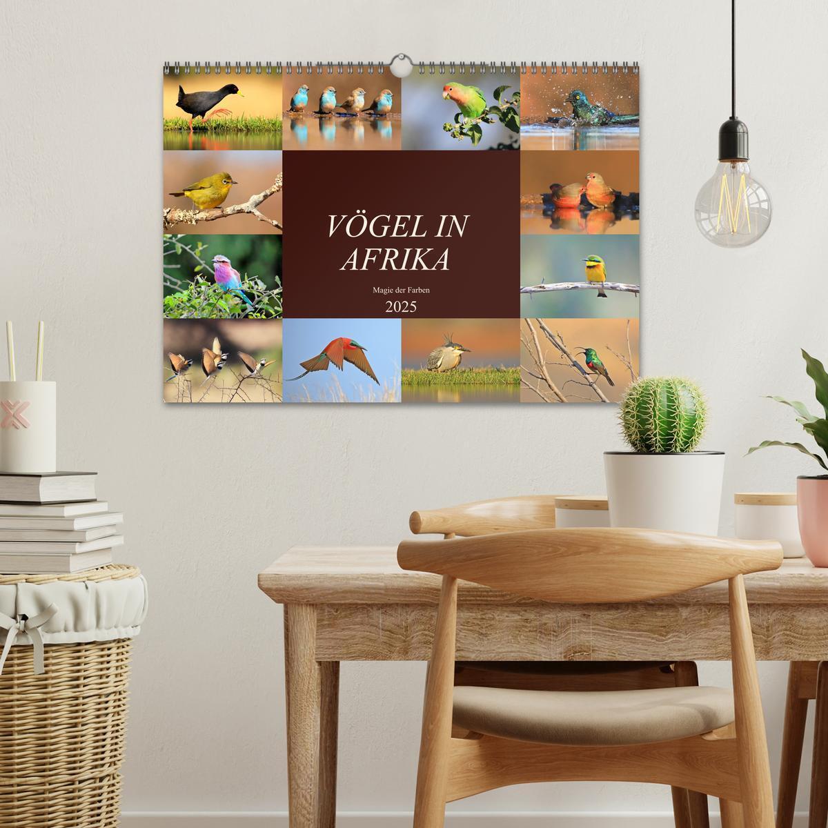 Bild: 9783435697359 | Vögel in Afrika - Magie der Farben (Wandkalender 2025 DIN A3 quer),...