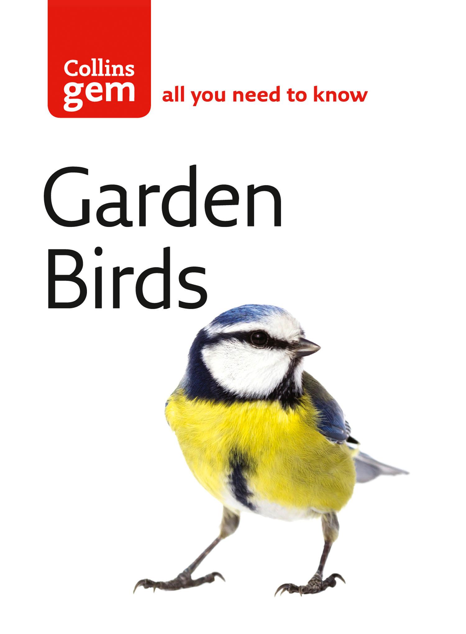 Cover: 9780007176144 | Garden Birds | Stephen Moss | Taschenbuch | Kartoniert / Broschiert