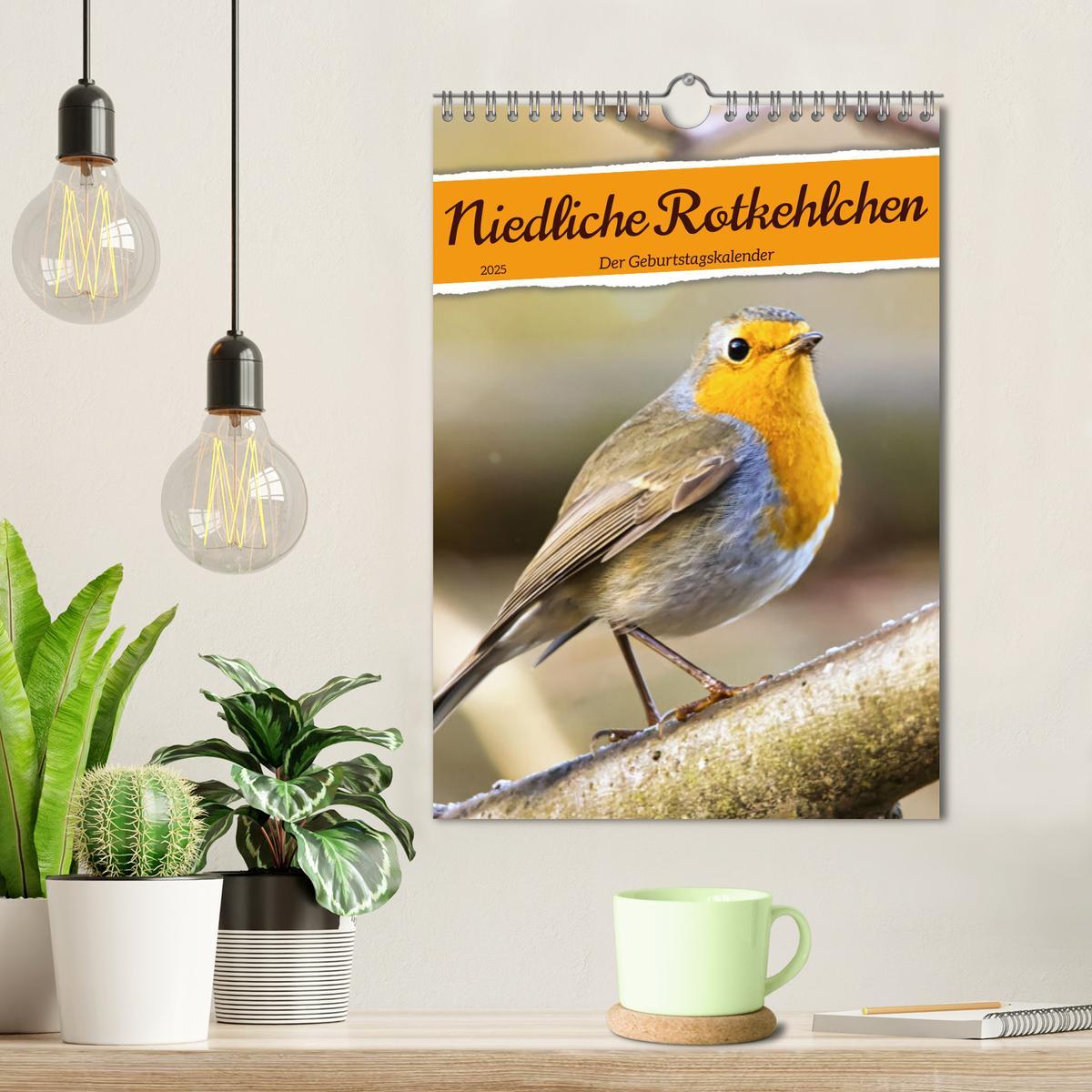 Bild: 9783435881208 | Niedliche Rotkehlchen (Wandkalender 2025 DIN A4 hoch), CALVENDO...