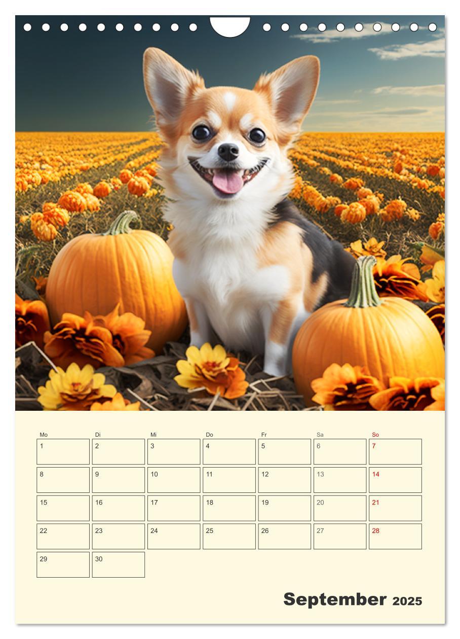 Bild: 9783435871766 | Witzige Chihuahuas. Glückliche Temperamentbündel (Wandkalender 2025...