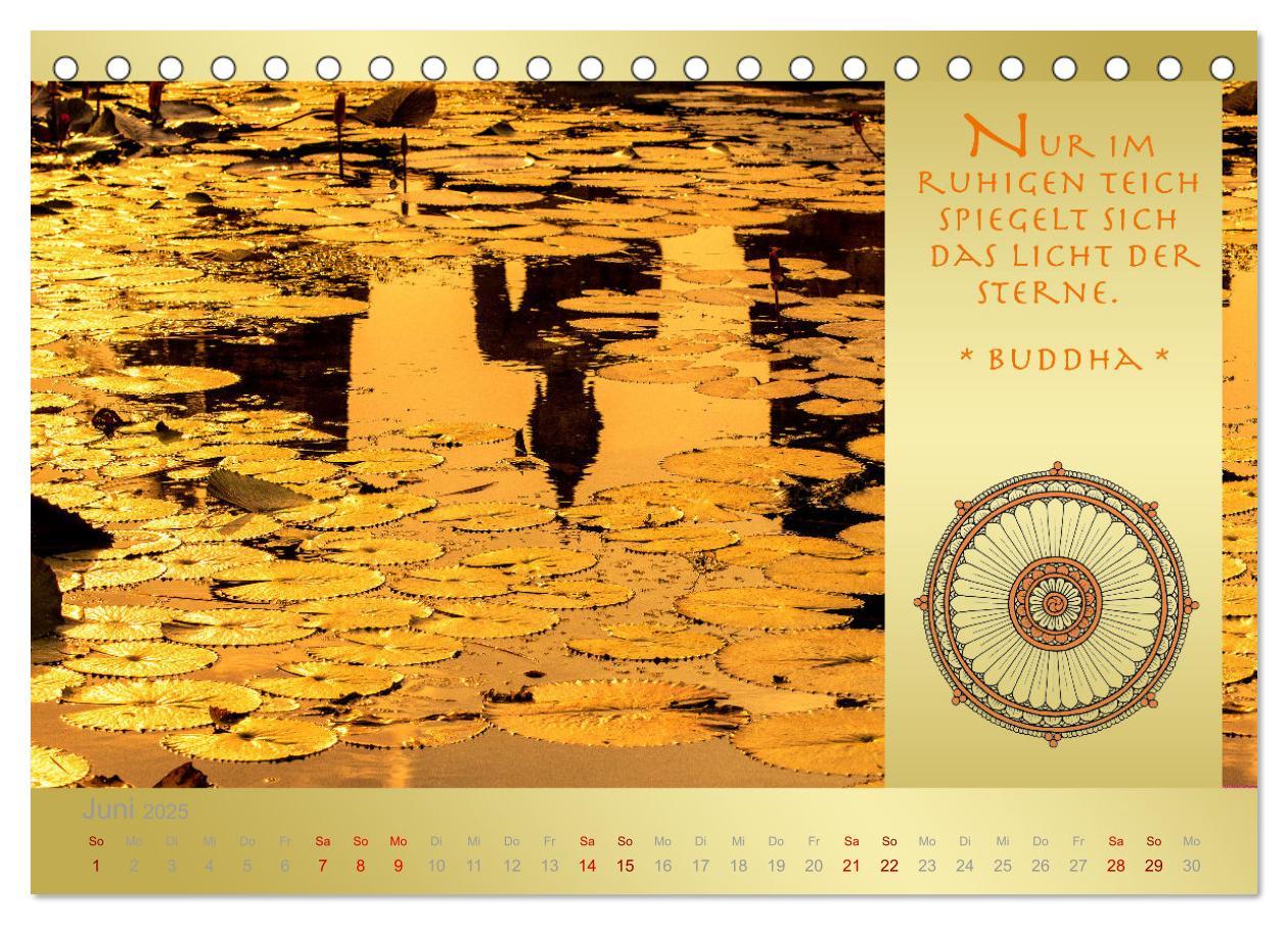 Bild: 9783435085194 | BUDDHA IM GLÜCK - Buddhistische Weisheiten (Tischkalender 2025 DIN...