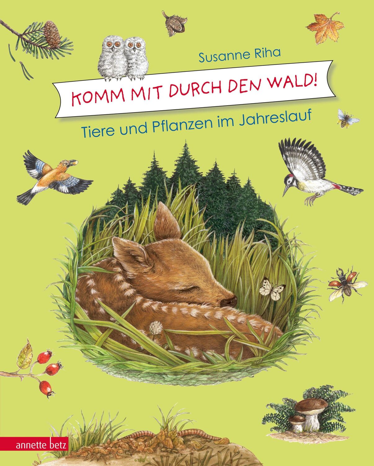 Cover: 9783219117011 | Kommt mit durch den Wald | Tiere und Pflanzen im Jahreslauf | Riha