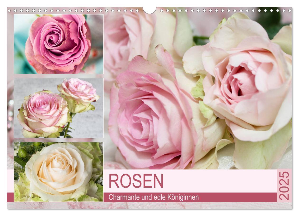 Cover: 9783435198566 | Rosen. Charmante und edle Königinnen (Wandkalender 2025 DIN A3...