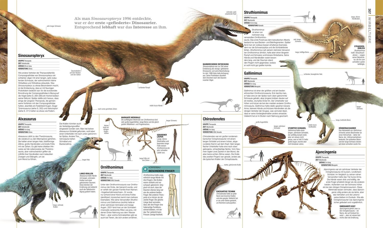 Bild: 9783831040308 | Dinosaurier und andere Lebewesen der Urzeit | Buch | 440 S. | Deutsch