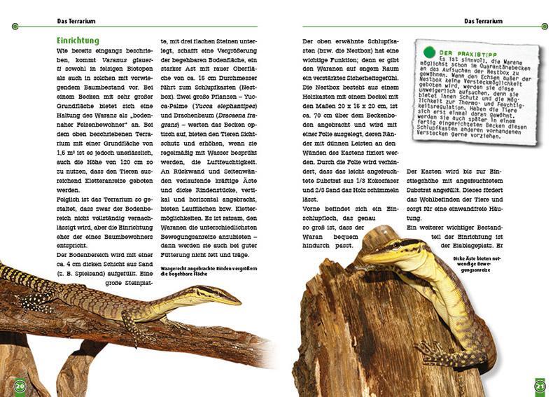 Bild: 9783866595132 | Glauerts Felsenwaran | Varanus glauerti | Michael Evers | Taschenbuch