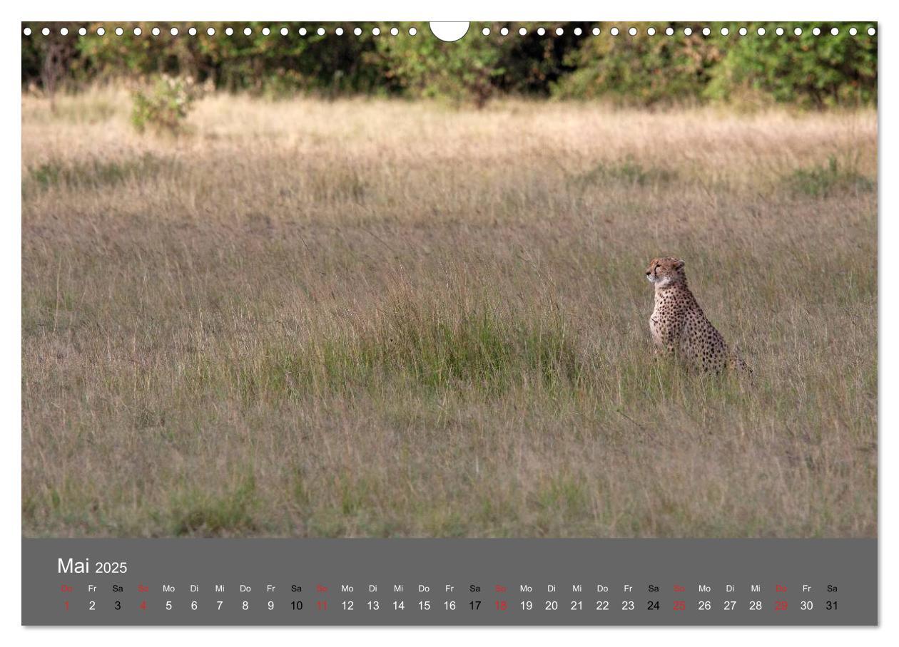 Bild: 9783435833900 | Ich träumte von Afrika (Wandkalender 2025 DIN A3 quer), CALVENDO...