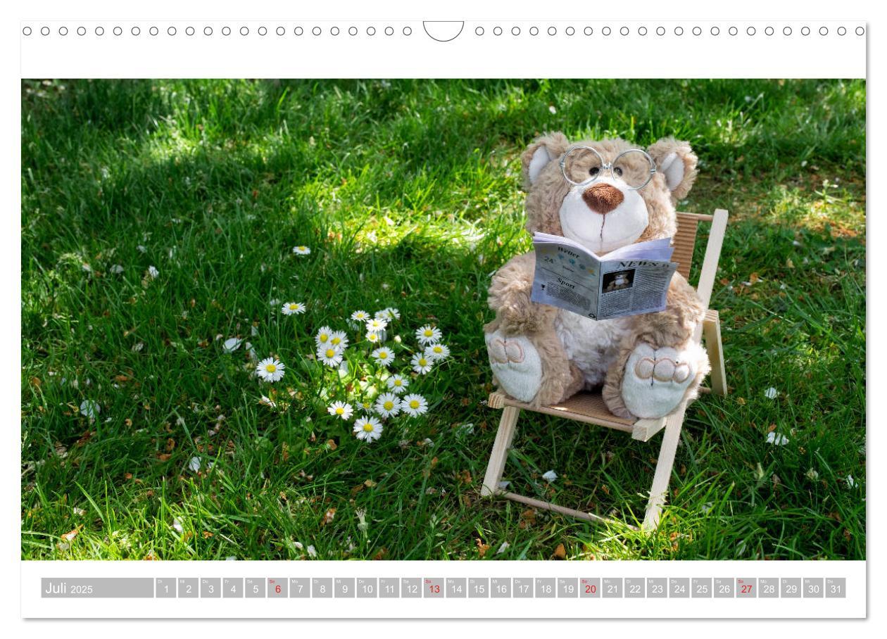 Bild: 9783435253432 | Eddy, der Teddy - 12 Bilder zum Schmunzeln (Wandkalender 2025 DIN...