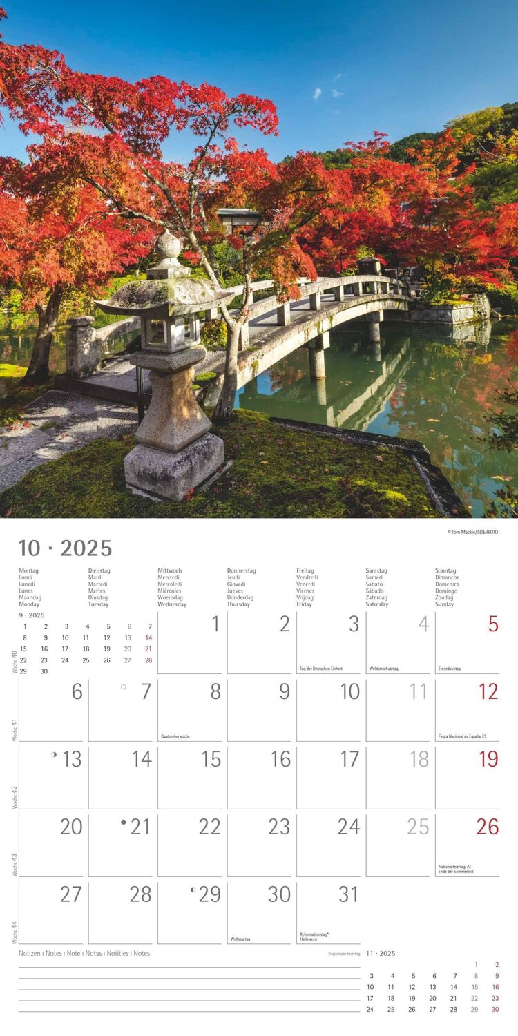 Bild: 4251732340629 | Gartenzauber 2025 - Broschürenkalender 30x30 cm (30x60 geöffnet) -...