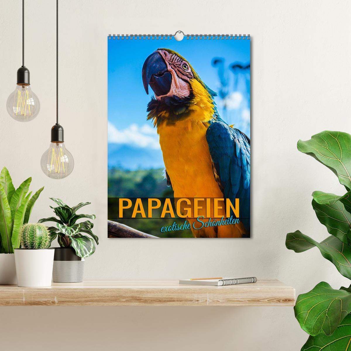 Bild: 9783435886869 | Papageien - exotische Schönheiten (Wandkalender 2025 DIN A3 hoch),...