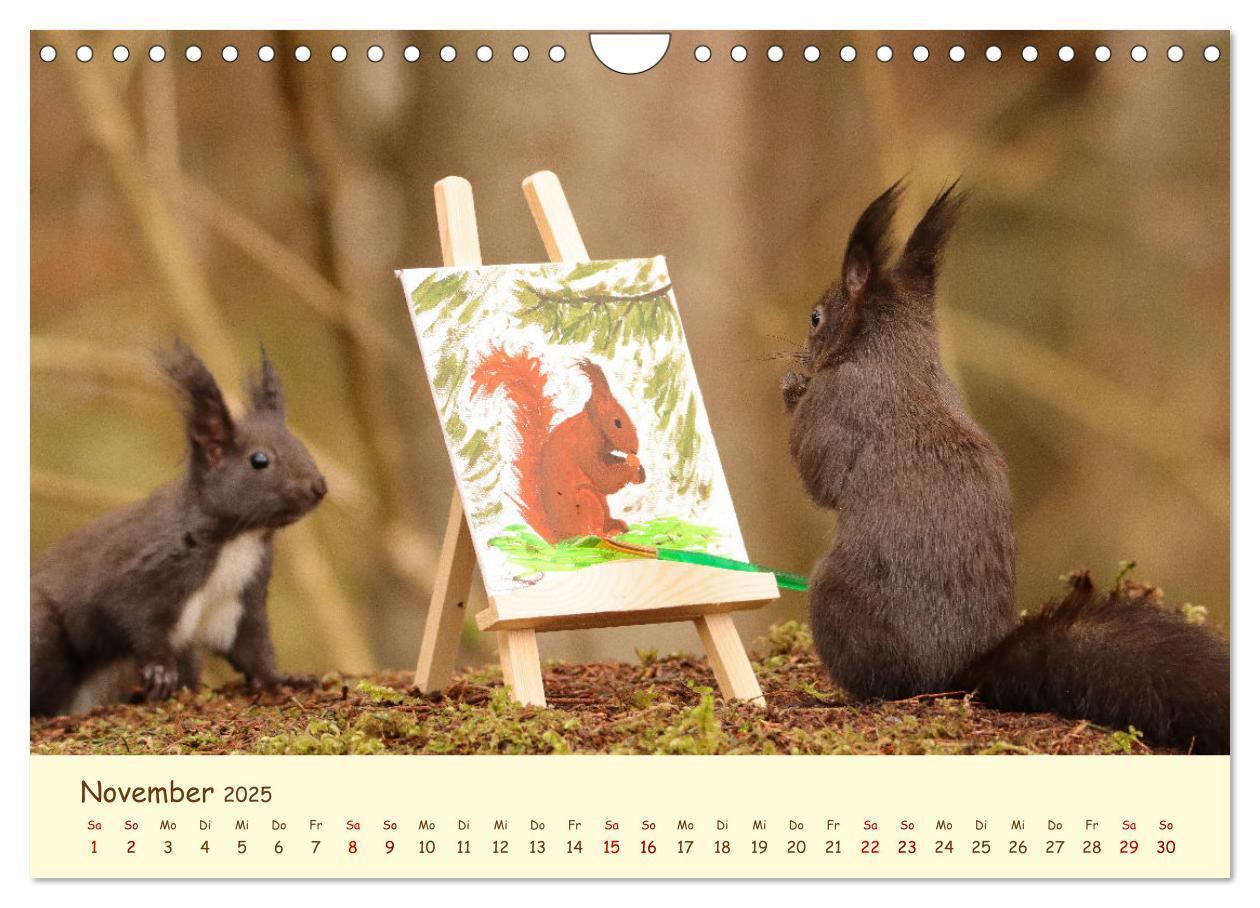 Bild: 9783435063383 | Eichhörnchen - zauberhaft verspielt (Wandkalender 2025 DIN A4...