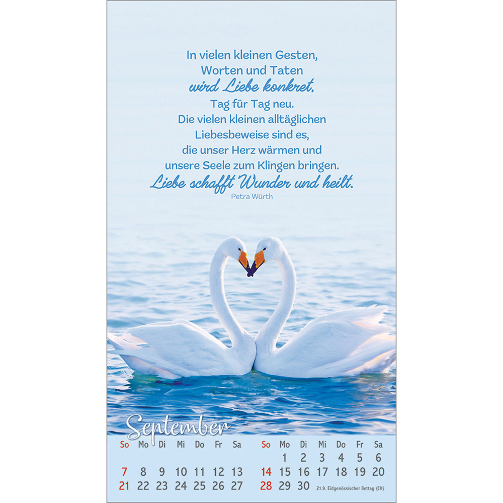 Bild: 9783754879757 | Beflügelt und geborgen | Vögel 2025 | Kalender | 13 S. | Deutsch