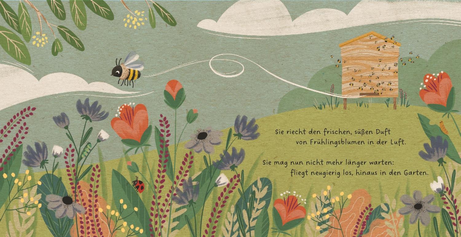 Bild: 9783751201735 | Meine Gartenfreunde. Die kleine Biene | Carla Häfner | Buch | PAPPE